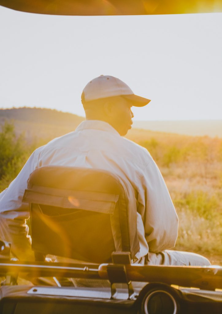 Safari, Nature, Travel, Sunset, Explore, Madikwe