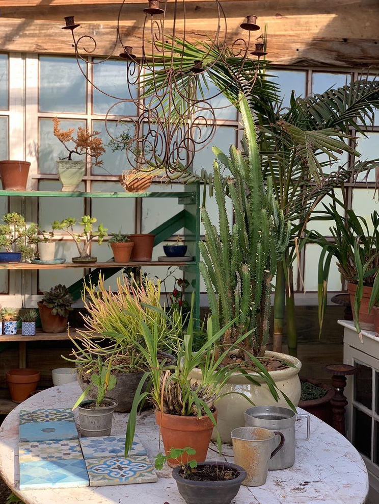 Dear Stella, Tone Alexander, Greenhouse, Interior design