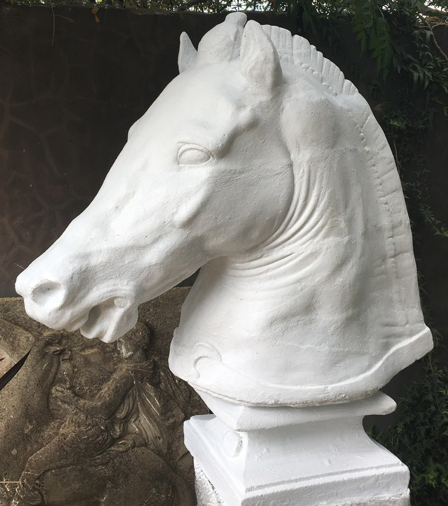 Dear Stella, Outdoors, Medici horse statue, Vasco Stone