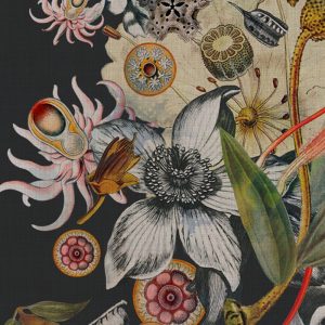 Botanical steel, Room 13, Floral, Prints