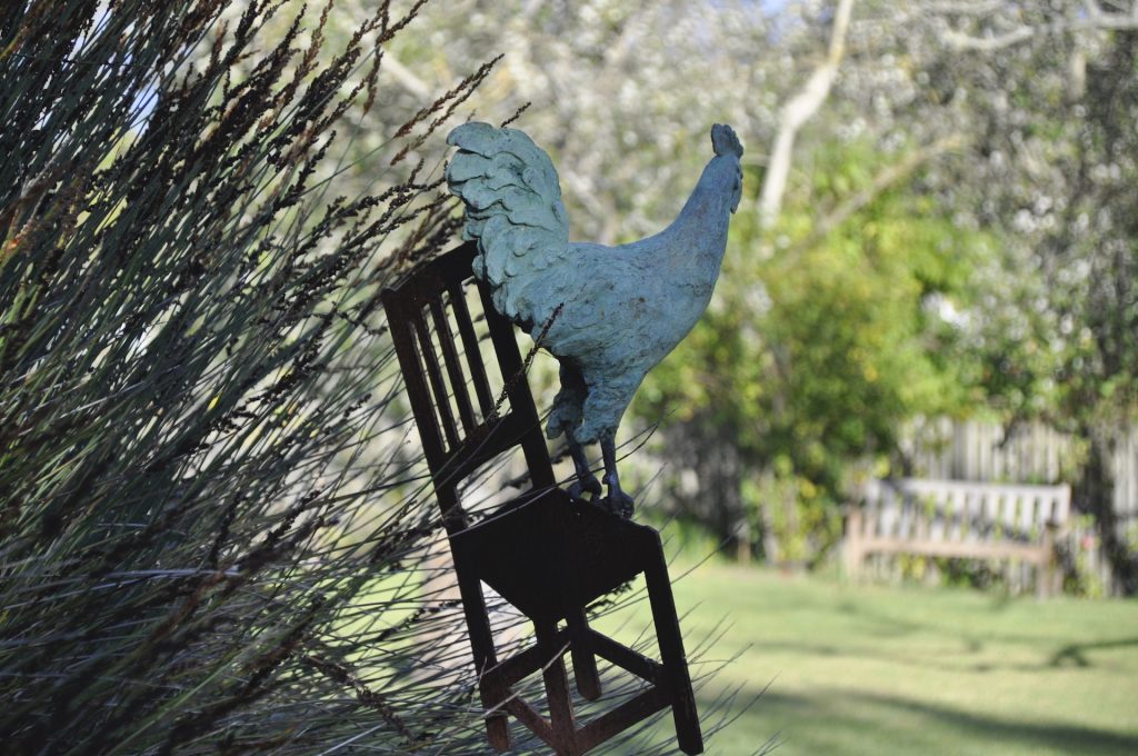 Wildekrans Country House - rooster by Guy du Toit