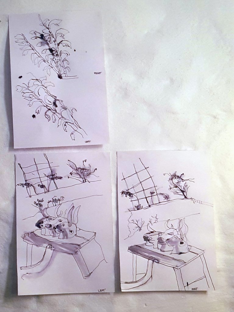 drawings of Nikki Swanepoel's Nguni cow heads